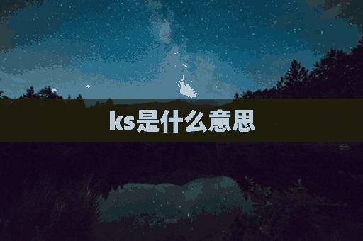 ks是什么意思(ks是什么意思化学)